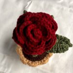 Red rose flowerpot.