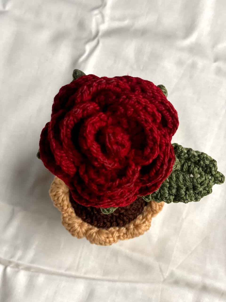 Red rose flowerpot.