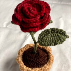 Red rose flowerpot.