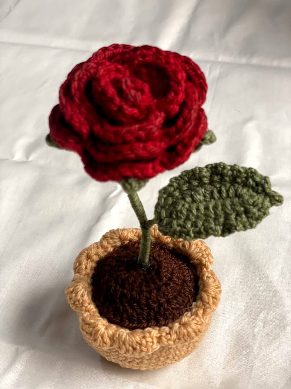 Red rose flowerpot.